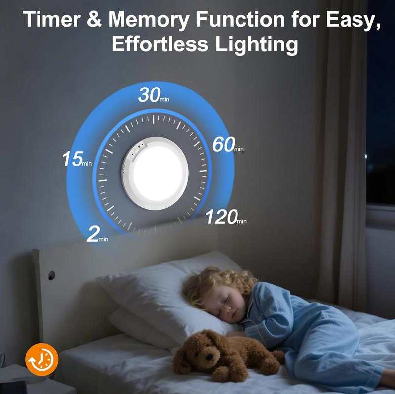 Motion Sensor Ceiling Light