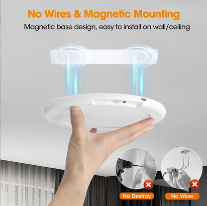 Motion Sensor Ceiling Light