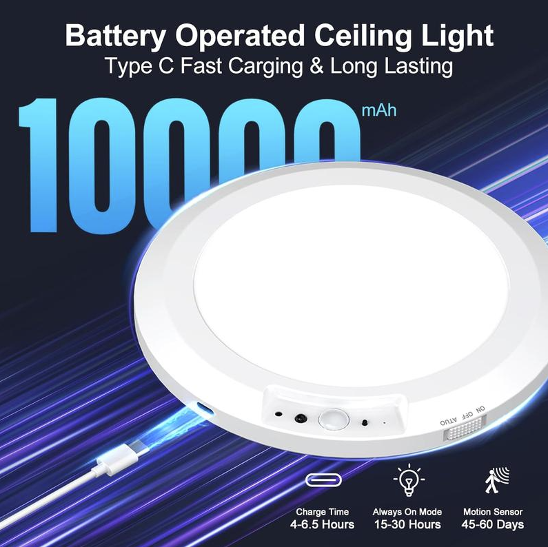 Motion Sensor Ceiling Light