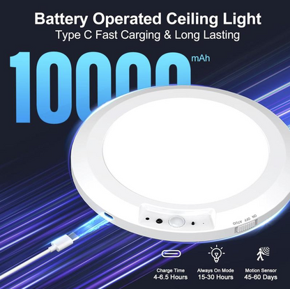 Motion Sensor Ceiling Light